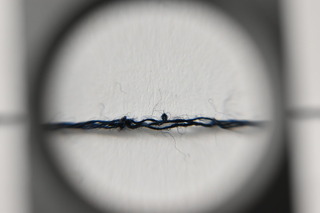 DSC_0177.JPG